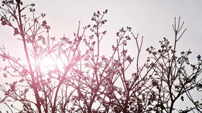 Cumhurbaşkanlığı'ndan Gençlere Yönelik Kapsamlı İstihdam Hamlesi: 5 Milyar TL'lik Proje Hayata Geçti