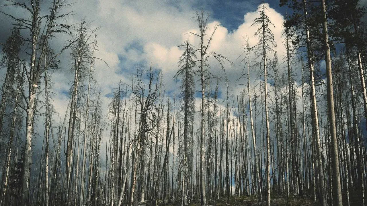 Sağlık Bakanlığı'ndan Stratejik Yerli İlaç Üretimi Hamlesi: Dışa Bağımlılık Azaltılıyor