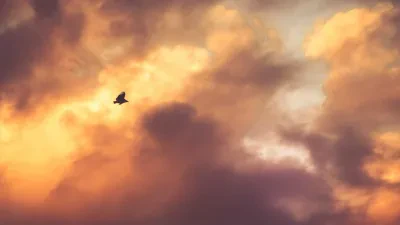 Ünlü Şarkıcının Yeni Albümü Tüm Platformlarda Zirvede